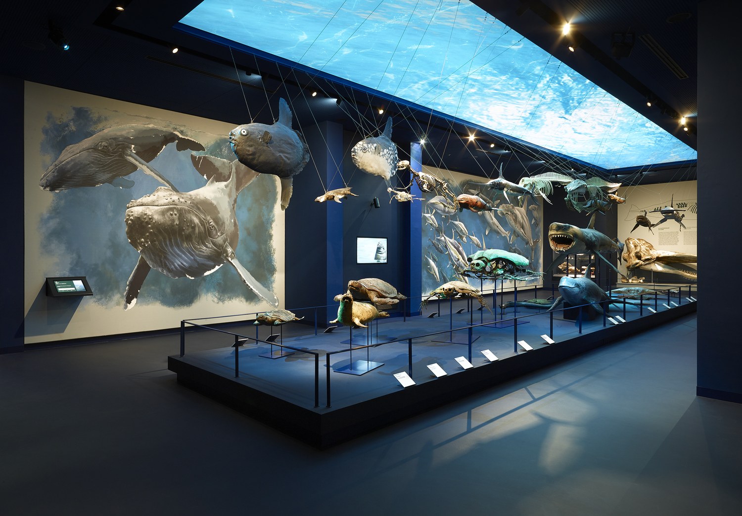 Museo della Natura e dell'Uomo - Padua